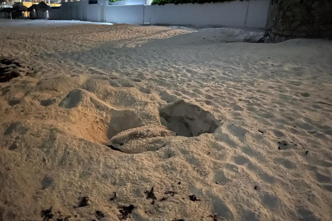 Beach, Fun & Relax At The Hotel Zone In Cancún Exterior foto